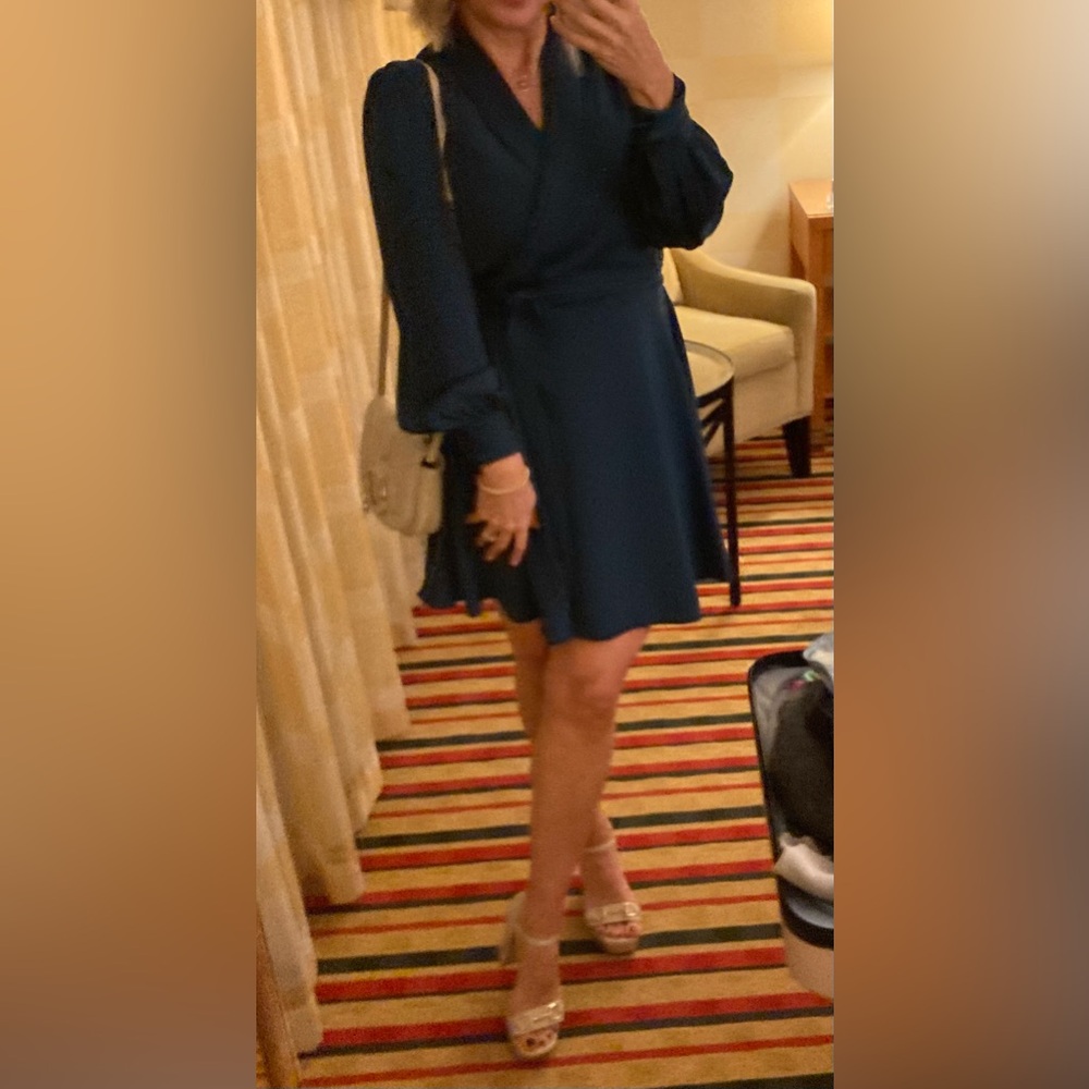 Aritzia Babaton Hyde Dress size XS